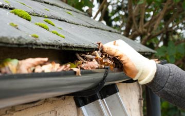 gutter cleaning Lower Bordean, Hampshire