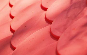 Lower Bordean plastic roof costs